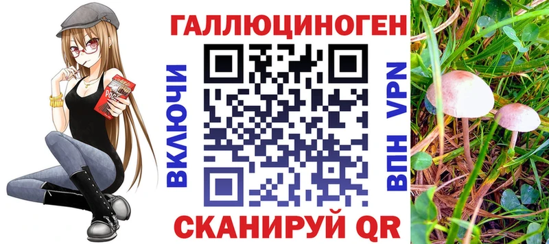 Псилоцибиновые грибы Magic Shrooms  Александровское 